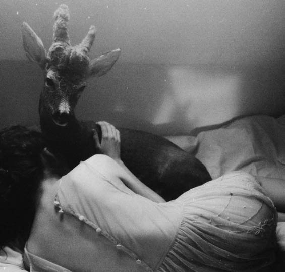 tumblr_nq99wl79Vv1qbloa9o1_1280