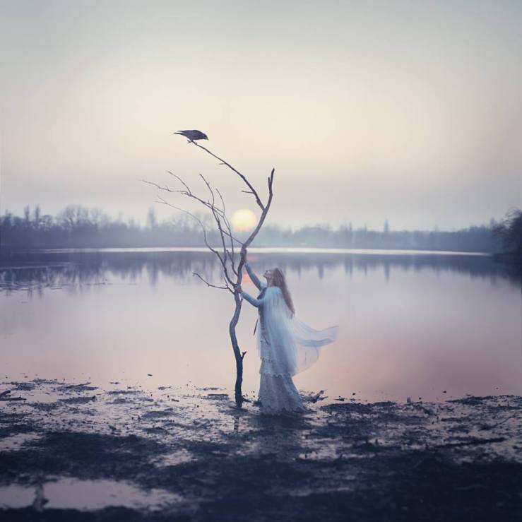 10429859_1592748050961871_3746325002980038795_n