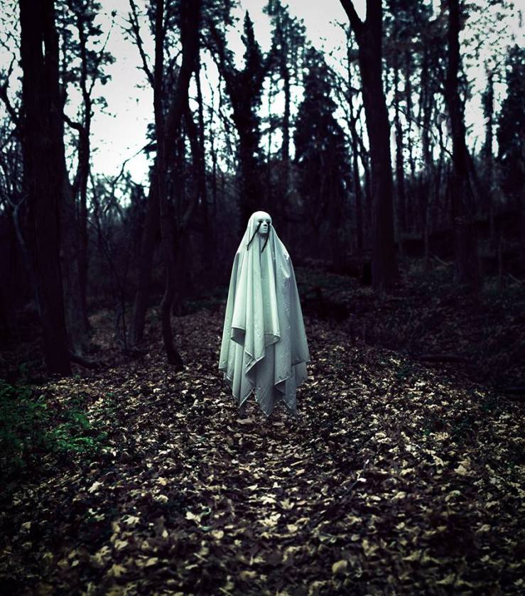 1780670_308036542734315_5837549566227407484_n