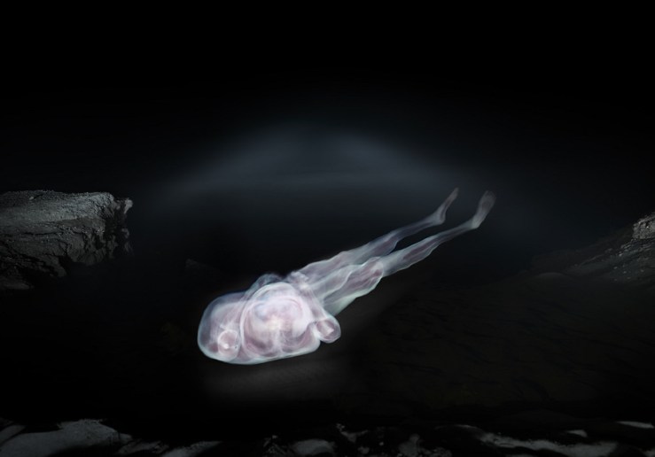 croixgagnon_frankschott_1231_ocean_9051