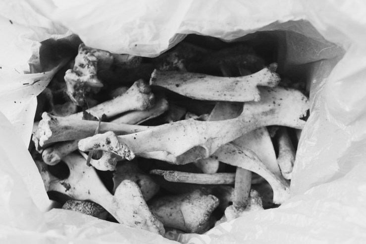 bones_635858695577274075_Afterlight_Edit