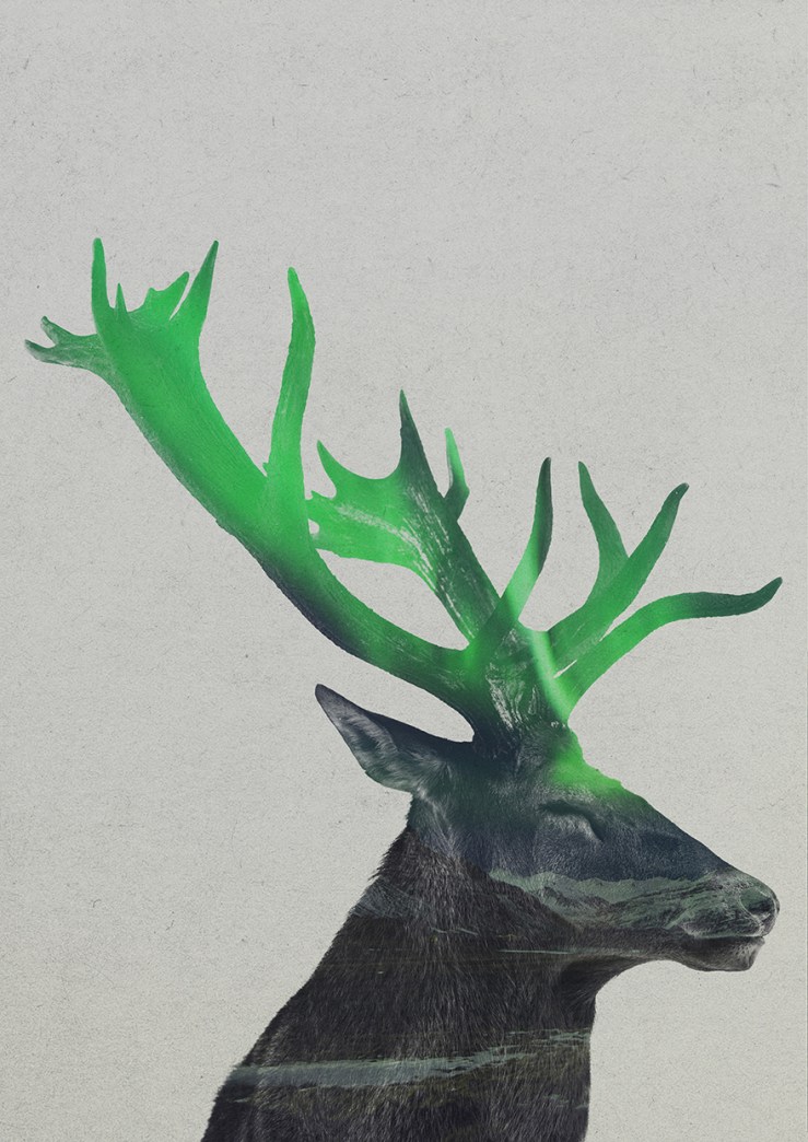 Double-Exposure-Of-Animals-In-The-Aurora-Borealis4__880