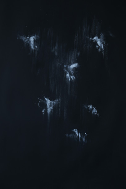 Jake-Wood-Evans-Glimmer