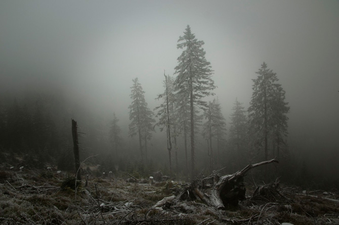 kamila-nora-netik-21