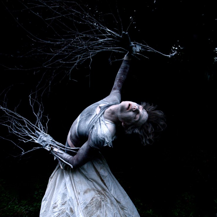 The-Woods-are-Calling