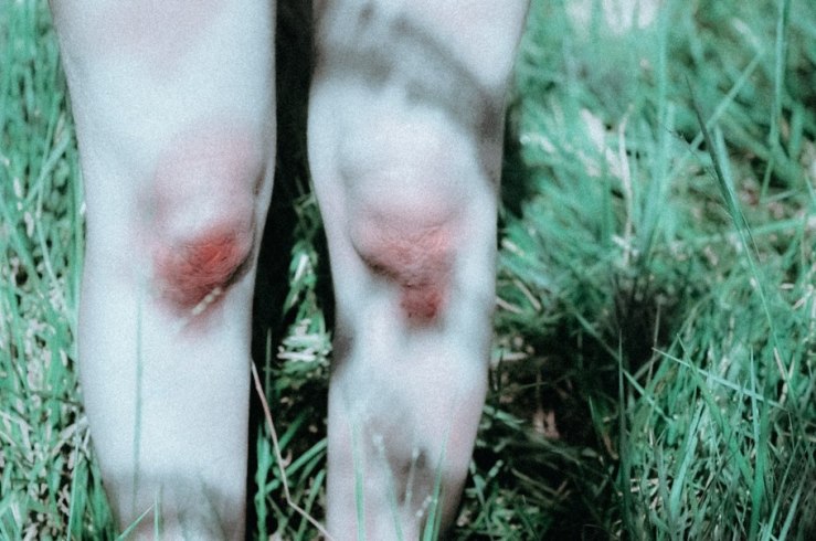 10427686_849463278486289_2235793108499022550_n