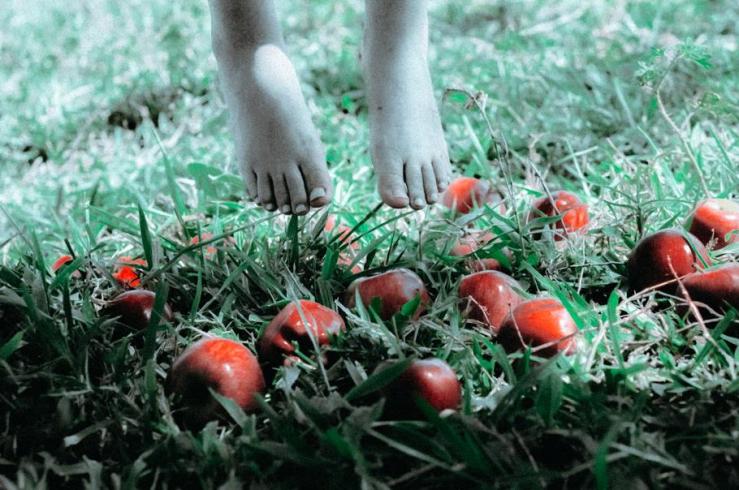 12366306_849463291819621_7165479912997396994_n