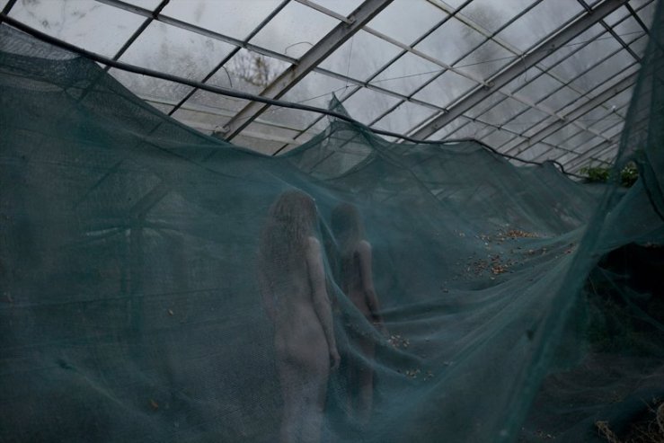 1779829_1519862238265037_2438451427565612916_n