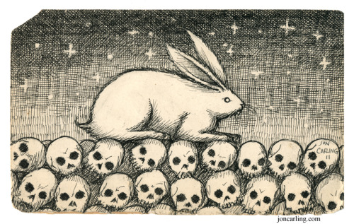 tumblr_ln1w6zlRpI1qzathto1_500