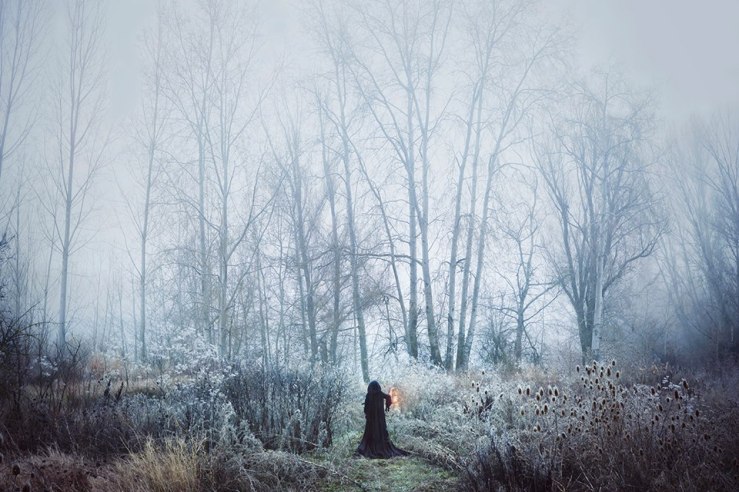 10299145_1536518839950879_7802480829204214060_n