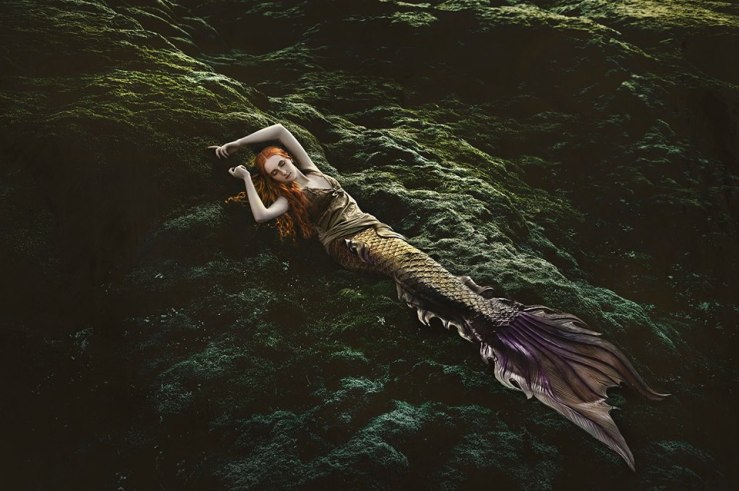 10502186_590120564440350_6598874702958539191_n