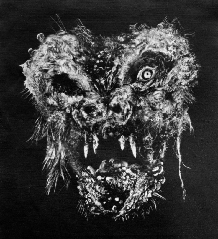 Aeron_Alfrey_beautifulbizarre_020-768x843