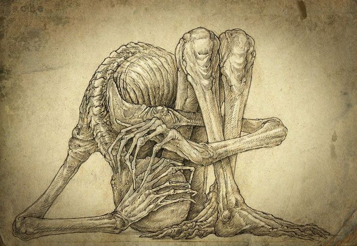 b1065b6d88e2038ebce052823c4ac508