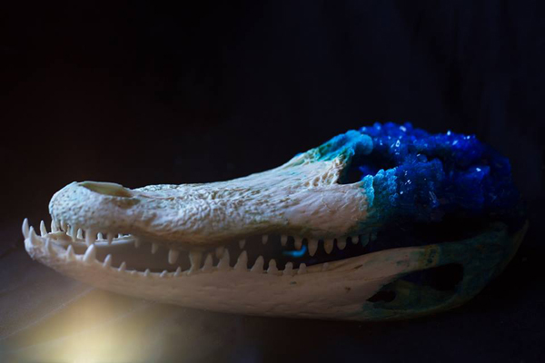 tylerthrasher_beautifulbizarre_12