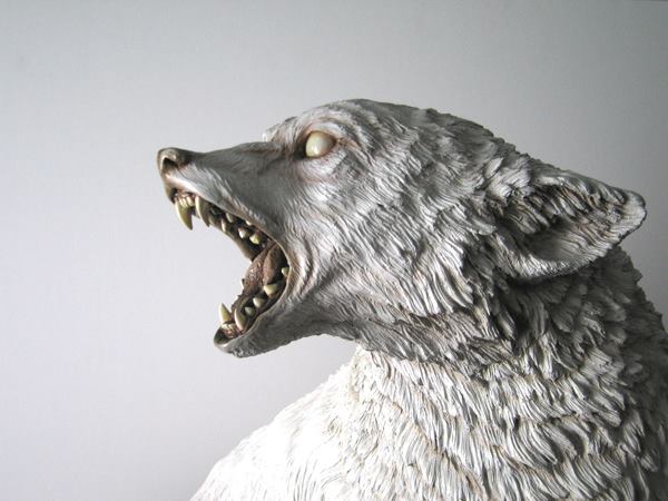 13418722_807028282765385_1037135638796734910_n