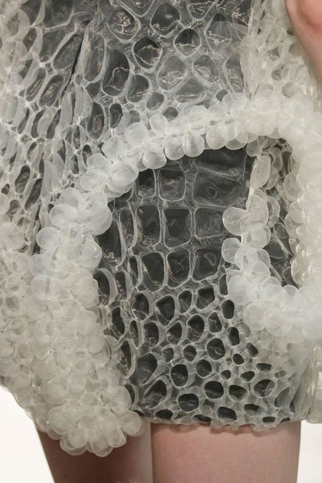 13580439_831836100284926_559367551947219823_o