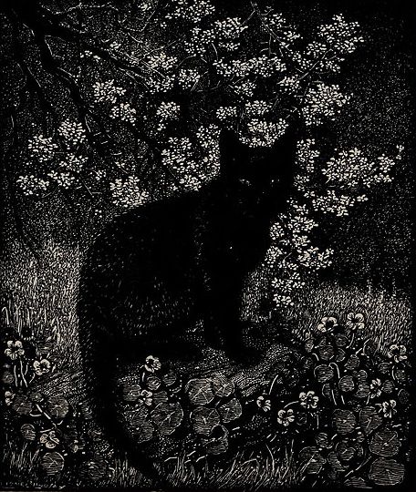 747459609a48e4716fd6eaadf4d67c7d