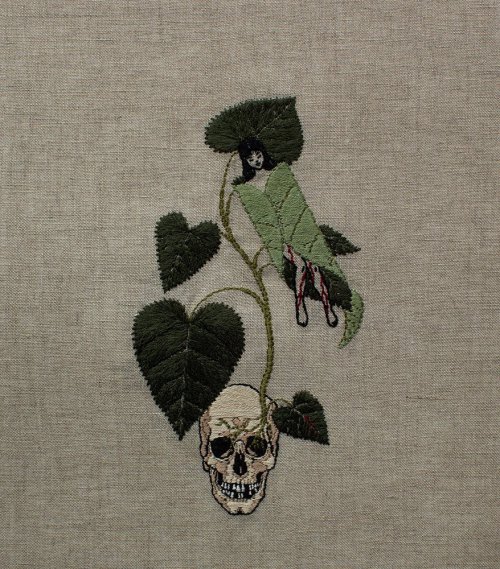 Adipocere-Dendrocnide-Moroides_1024x1024