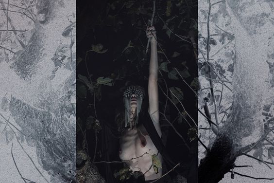 angelo-guttadauro%e2%80%8b