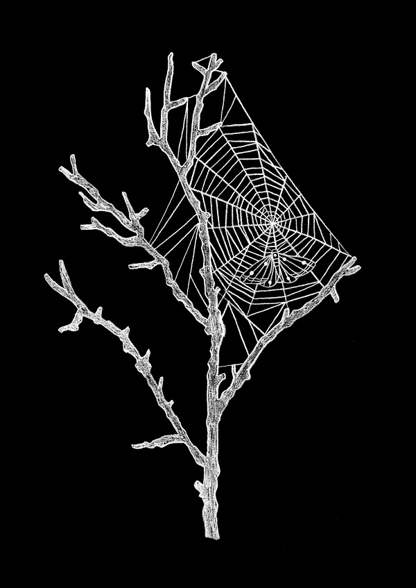 maddy_young_beautifulbizarre_008