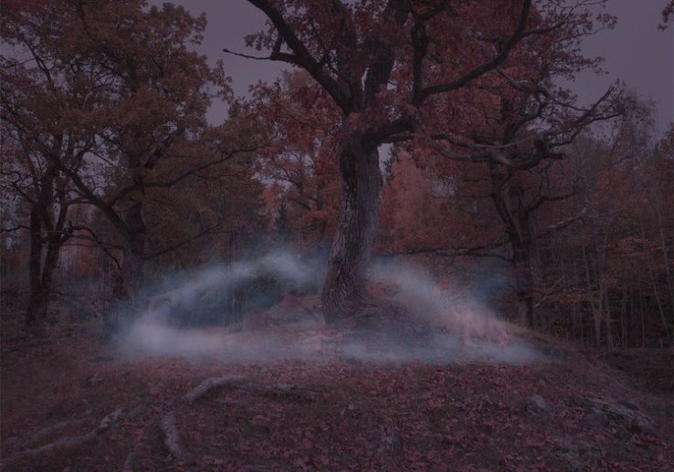 ole-marius-danceoftheelves