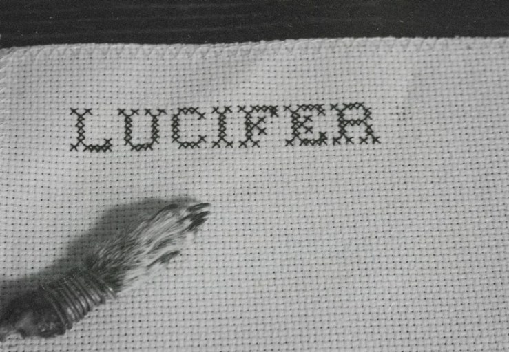 636189050672020056_afterlight_edit