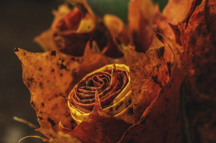 636118003770024140_Afterlight_Edit