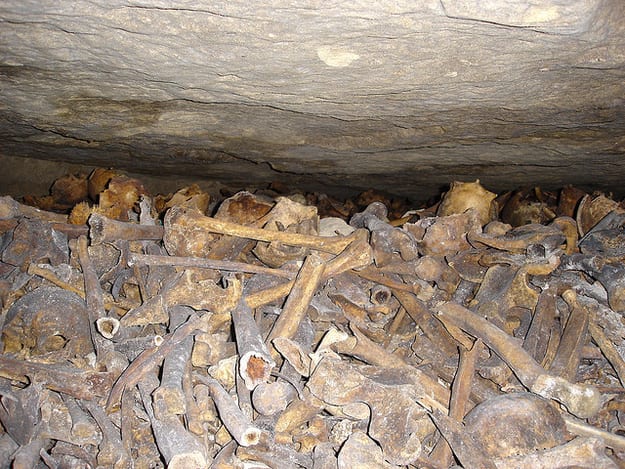 enhanced-buzz-631-1367277249-12