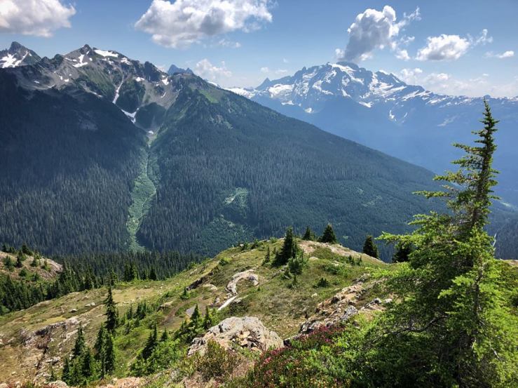 40468541_2068190376549079_8367809268681801728_n