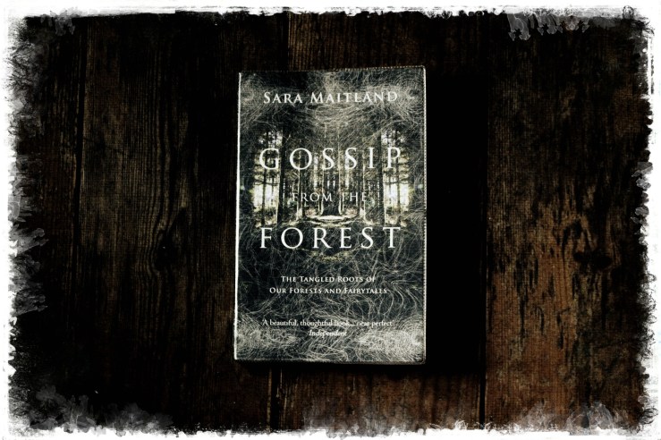 636949261823554759_Afterlight_Edit - Copy (1)