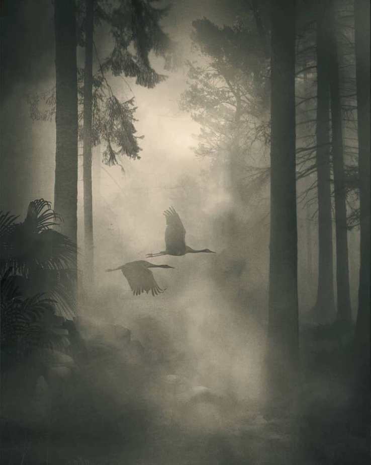 depression-illustration-series-dawid-planeta-12