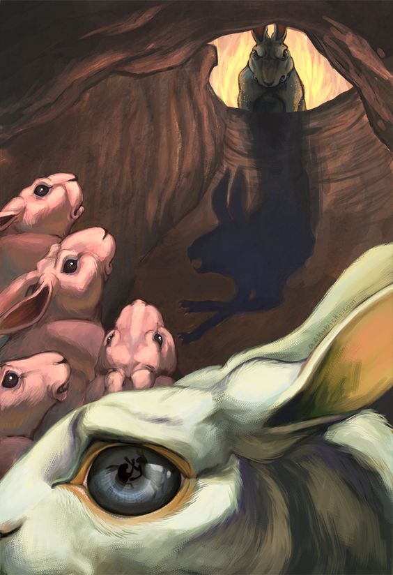 0b5a68b796482e654a91ebc6749fb612