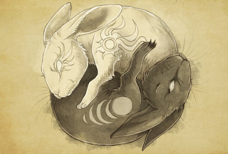 4fe54d32d847fab043b523d3bc000321