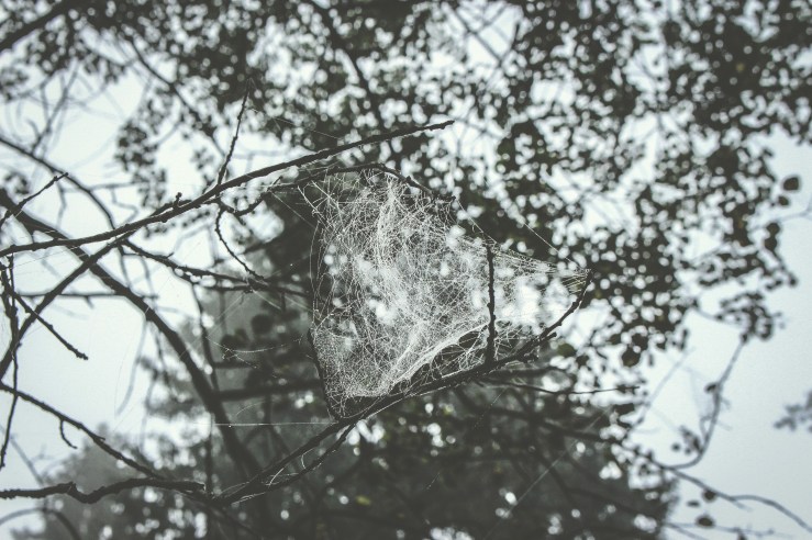 636091009574925356_Afterlight_Edit