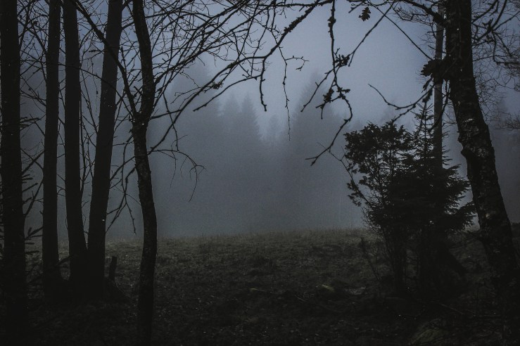 636150790396969075_Afterlight_Edit