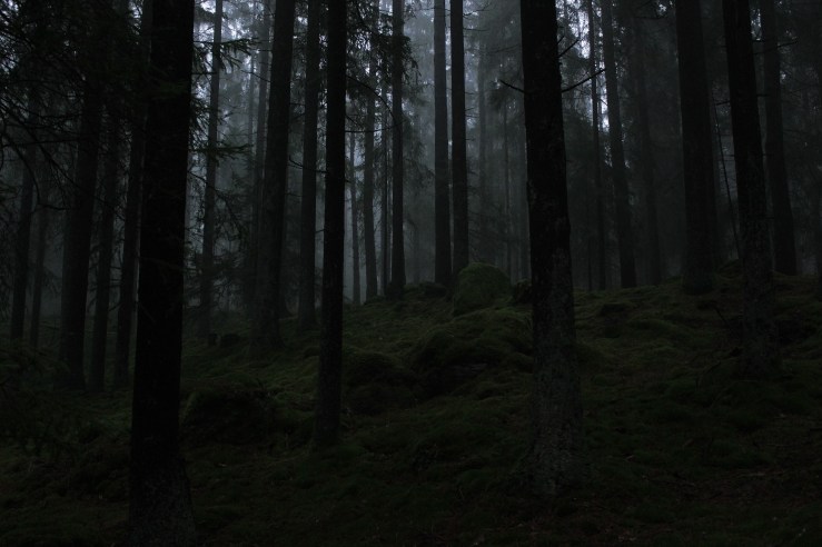 636172433461204744_Afterlight_Edit