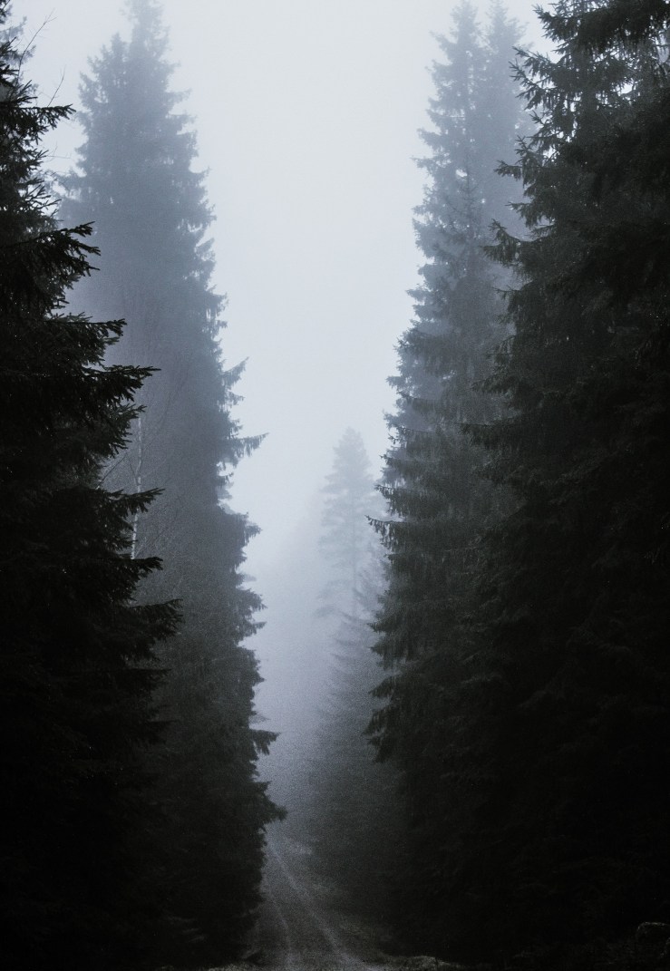 636177365276273314_Afterlight_Edit