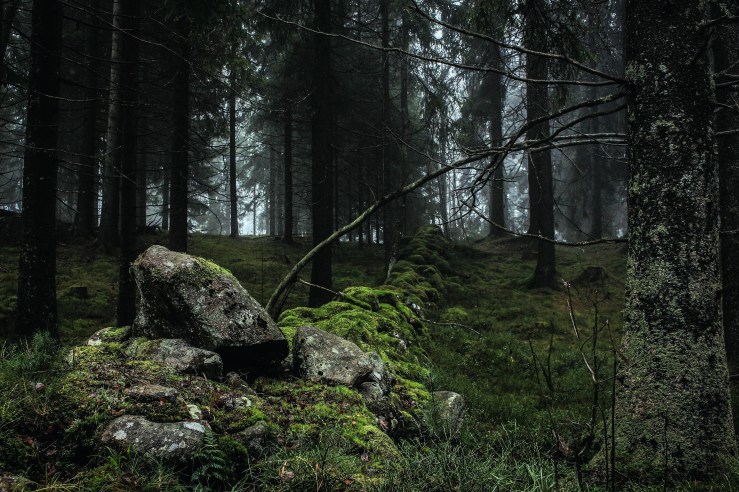 From Generations Past