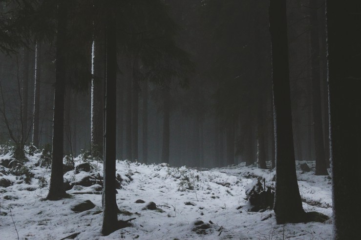 The Whispering Forest